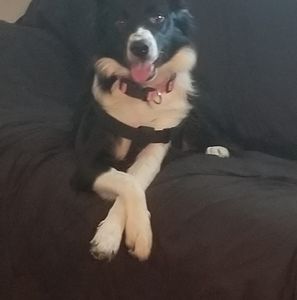 Meet your Posher, Scott